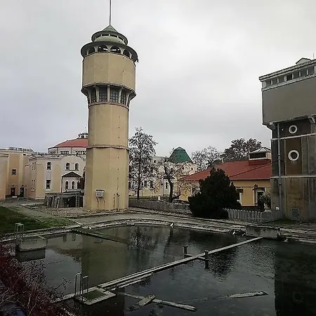 Carat Banka